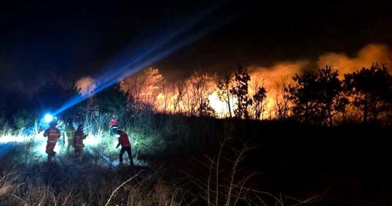 22일 오후 7시 22분쯤 강원 고성군 토성면의 한 리조트 인근에서 화재가 발생해 소방 당국이 대응에 나서고 있다. / 뉴스1