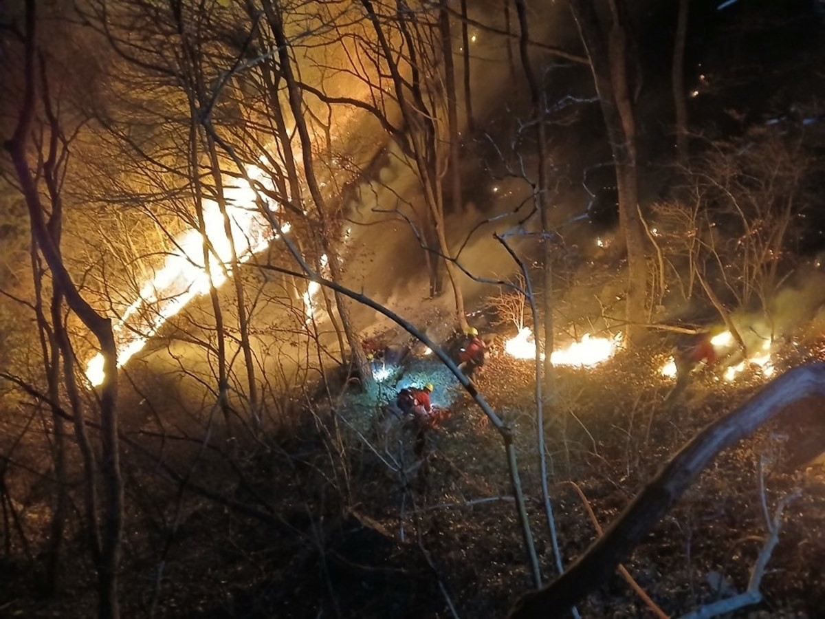밤샘 진화 중인 함양 산불 현장 모습. 23일 오전 5시 기준 함양 산불의 진화율은 32%를 기록하고 있다고 산림청은 밝혔다. 산불영향 구역은 약 189㏊로 추정되며 전체 8.26㎞에 달하는 화선 중 2.64㎞가량의 진화가 완료된 상태다.     / 산림청 제공-연합뉴스