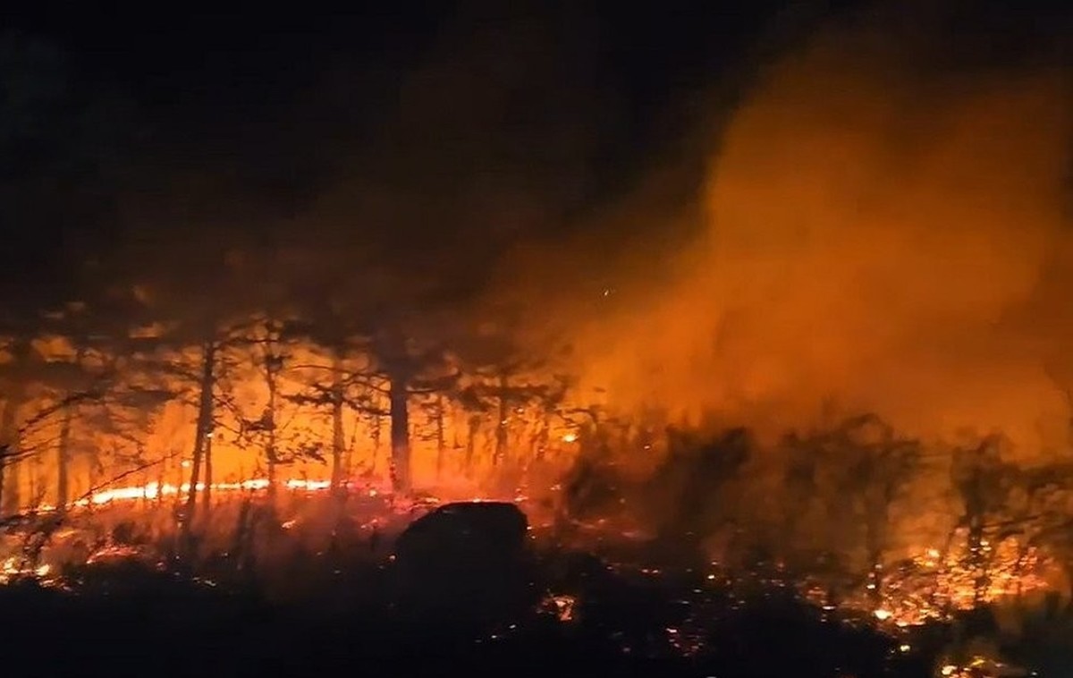 강원 고성군 토성면 인흥리에서 산불이 나 불길이 번지고 있다. 당시 산불 현장 모습이다. 22일 오후 7시 22분쯤 강원도 고성군 토성면 인흥리 뽕나무밭에서 원인을 알 수 없는 화재가 발생해 강풍을 타고 번졌다. 산림 당국은 곧장 진화차와 진화대원 등을 집중적으로 투입해 진화에 나선 것으로 전해졌다. / 강원특별자치도소방본부 제공-연합뉴스