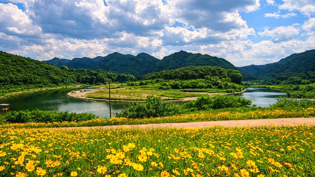 영월 청령포. 기사 내용 토대로 AI툴 활용해 제작한 자료사진.