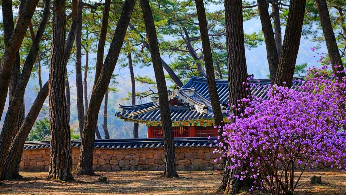 영월 청령포. 기사 내용 토대로 AI툴 활용해 제작한 자료사진.