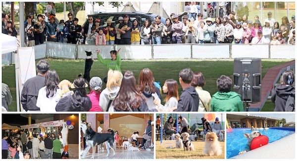 오수의견 국민여가 캠핑장 / 임실군