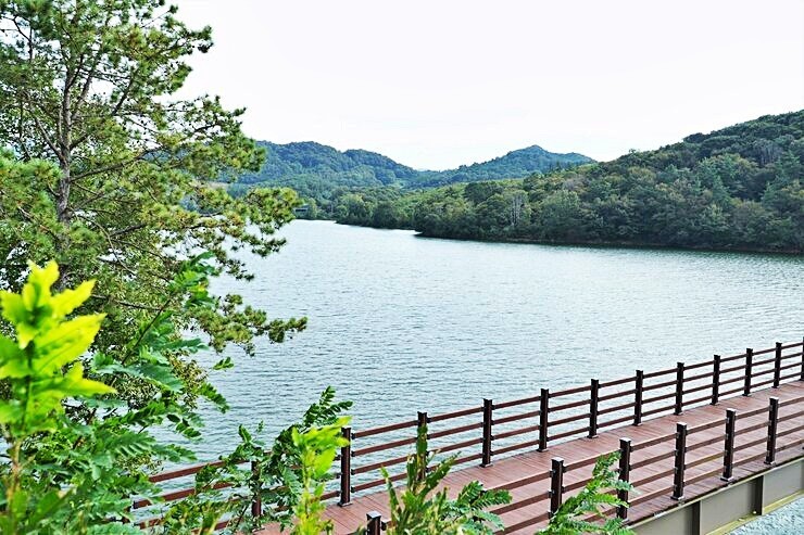 나주호 둘레길 / 나주시청 홈페이지