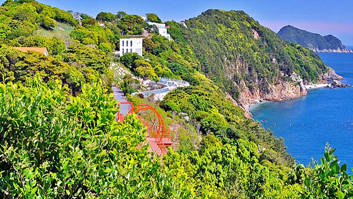 장사도해상공원 까멜리아 / 장사도해상공원 까멜리아 홈페이지