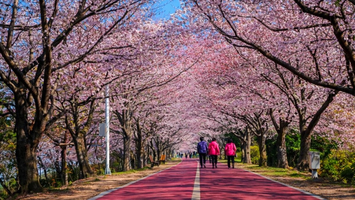 부산 삼락생태공원. 기사 내용 토대로 AI툴 활용해 제작한 자료사진.
