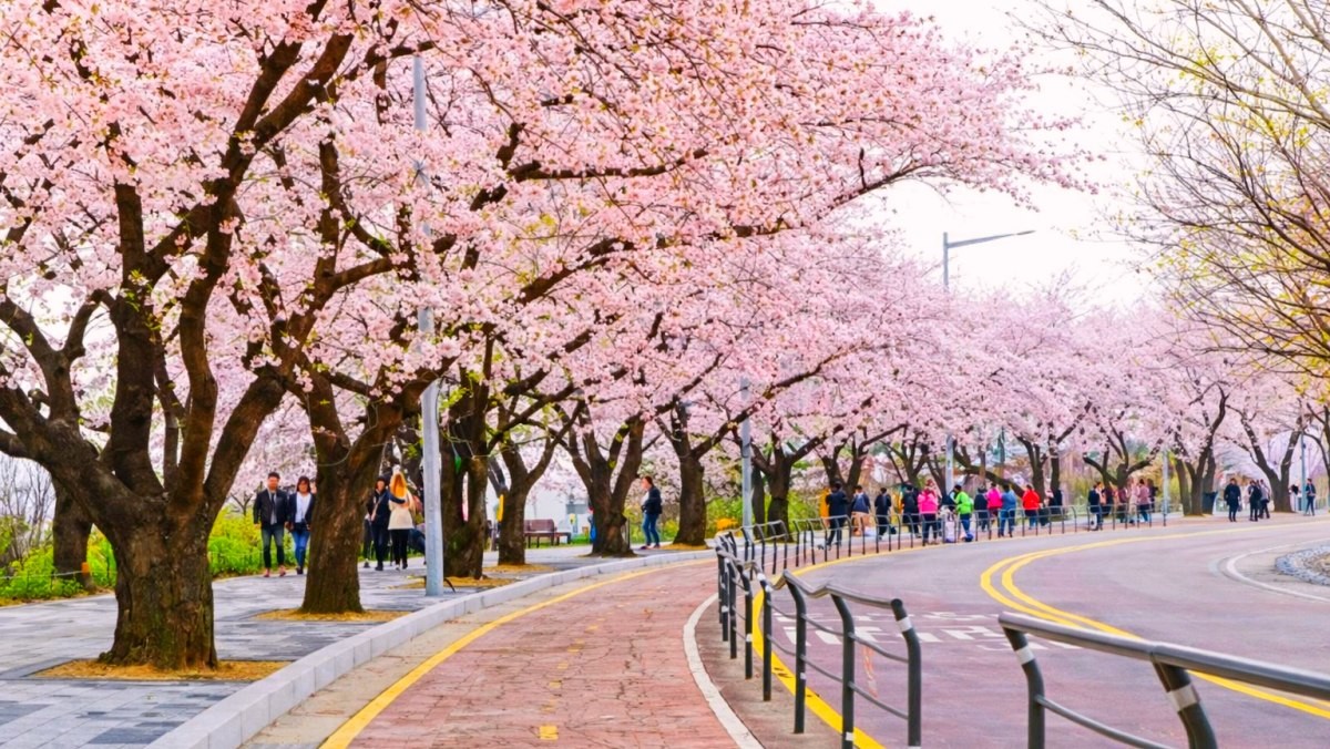 여의도 한강공원. 기사 내용 토대로 AI툴 활용해 제작한 자료사진.