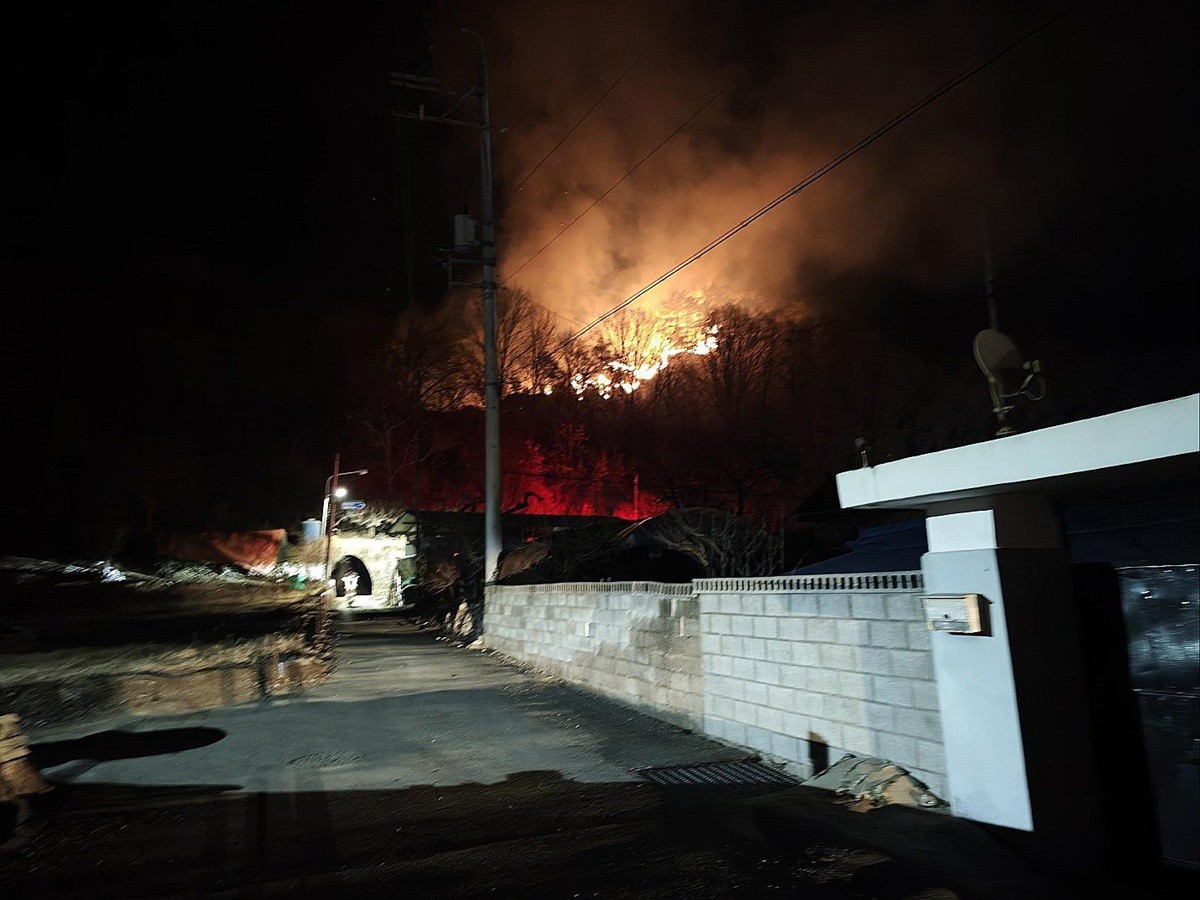 단양에서 발생한 산불. / 단양소방서