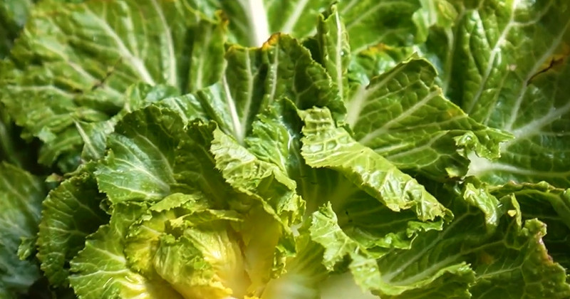 유튜브 '우리식사해요 한식 반찬 레시피'