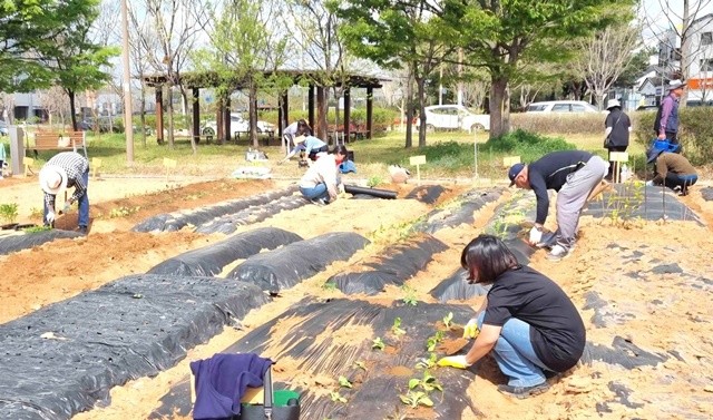 나주시는 도시민의 건전한 여가 활동과 친환경 농업 체험 기회 제공을 위해 시민을 대상으로 오는 3월 10일까지 공영 텃밭 분양을 실시한다.