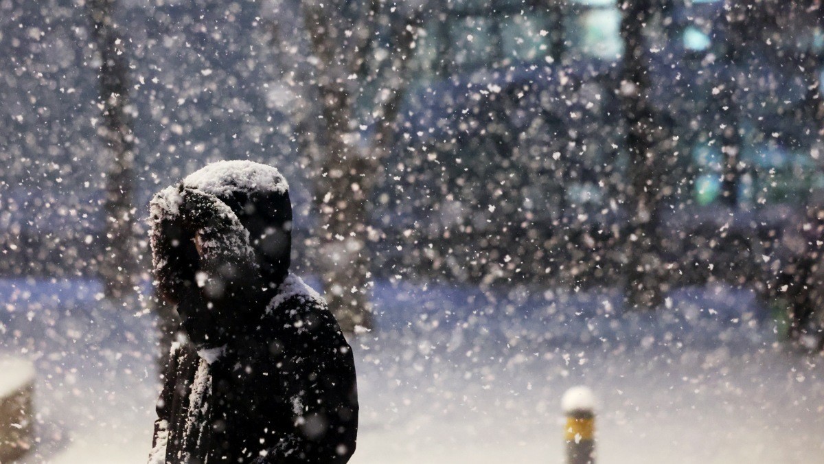 기사의 이해를 돕기 위한 사진 / 뉴스1
