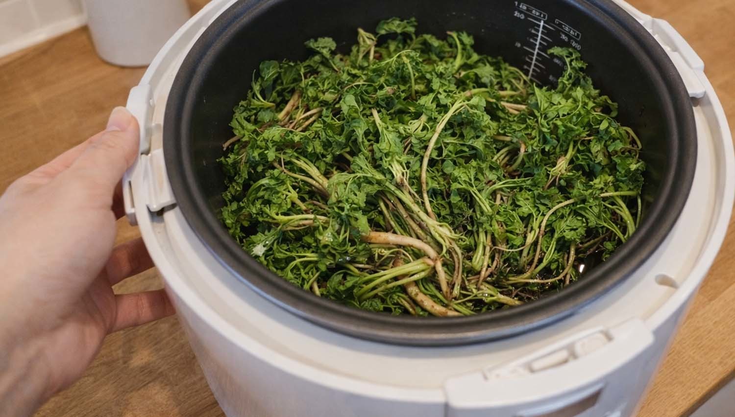 글에 대한 이해를 돕기 위한 사진.