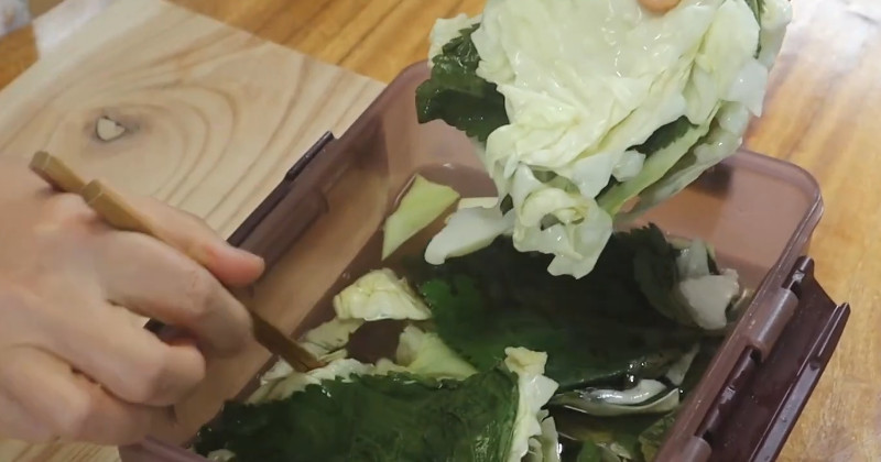 유튜브 '땅끝마을 임선생'