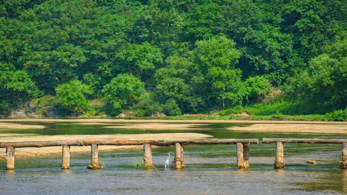 영주 무섬마을. 기사 내용 토대로 AI툴 활용해 제작한 자료사진.