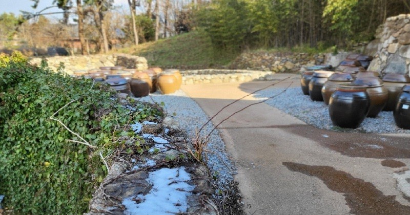 25일 대전과 충남 지역은 낮과 밤의 기온차가 15℃ 안팎으로 크게 벌어져 낮에는 포근하지만, 밤에는 기온이 급격히 떨어질 수 있으니 옷차림에 유의해야겠다./사진=김지연 기자