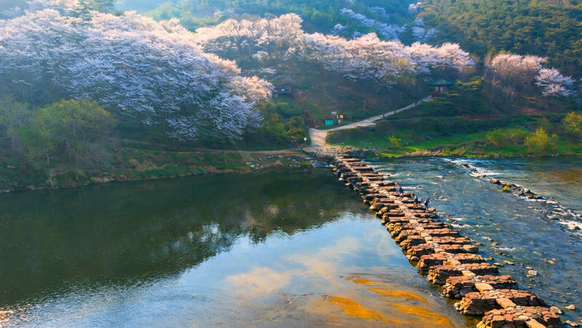 진천 농다리. 기사 내용 토대로 AI툴 활용해 제작한 자료사진.