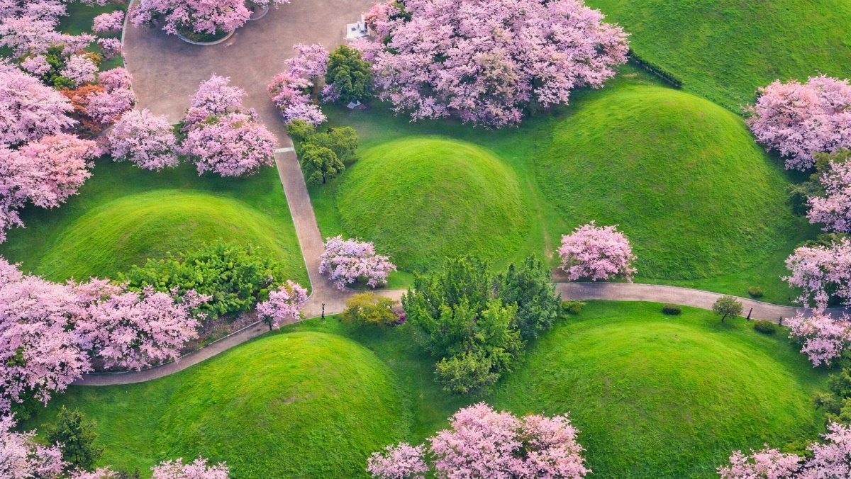 경주 대릉원. 기사 내용 토대로 AI툴 활용해 제작한 자료사진.