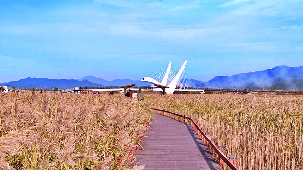 강진만생태공원 / 강진만생태공원 홈페이지