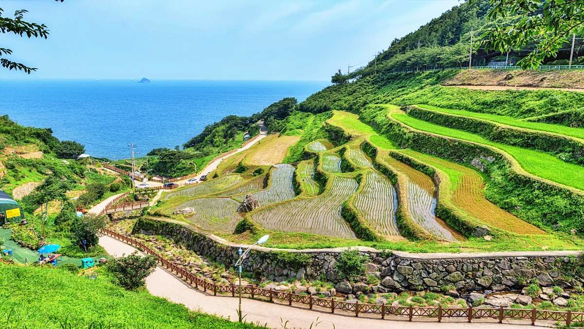 남해 다랭이마을 계단식 논 / aaron choi-Shutterstock.com