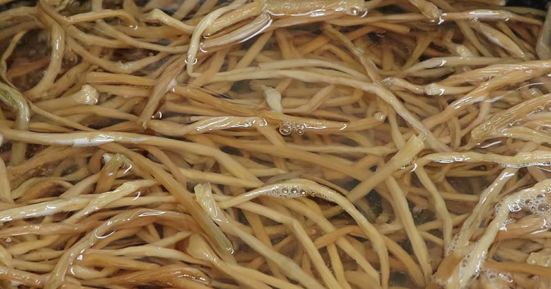 유튜브 '팔숙이 palsook'