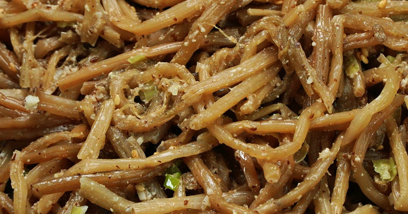 유튜브 '팔숙이 palsook'