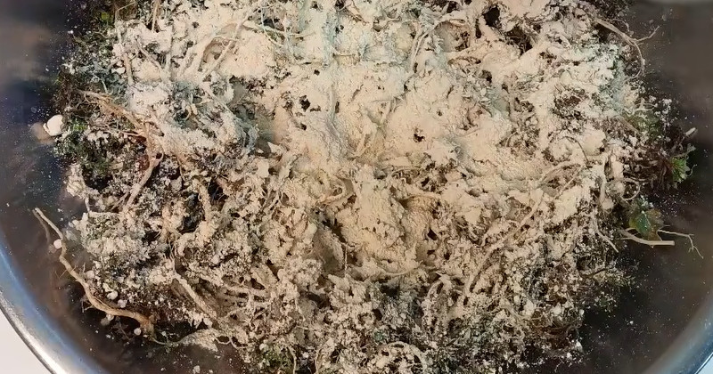 유튜브 '주부나라'