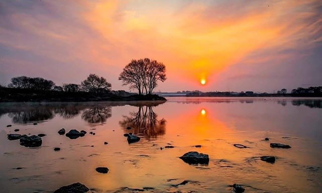 나주시가 지난 22일 ‘구하도 섬나무’ 일원에서 환경정비를 실시했다. 구하도 섬나무 모습
