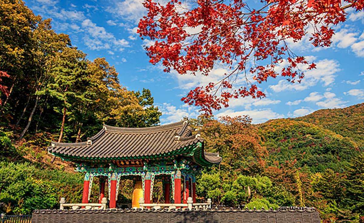 와우정사 풍경 / 용인관광 홈페이지