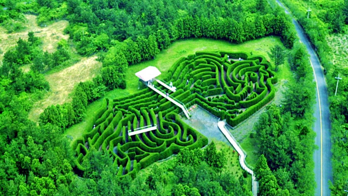 제주 김녕미로공원 전경 / 김녕미로공원 홈페이지