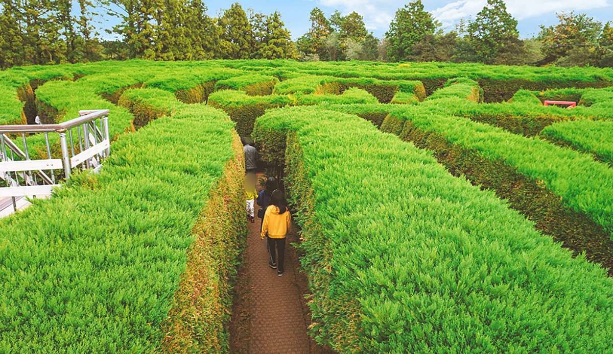 김녕미로공원 / 김녕미로공원 홈페이지