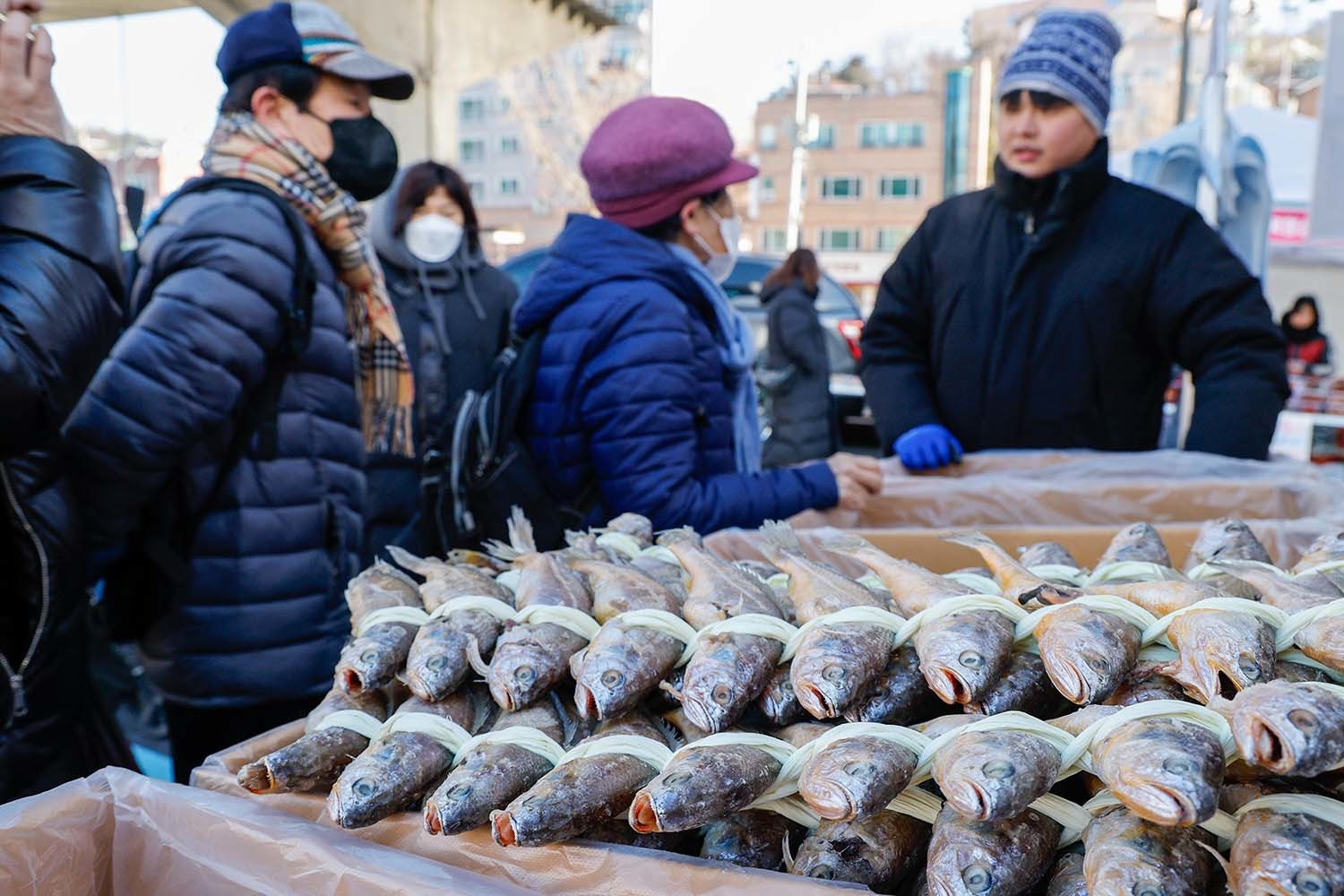 참조기로 만든 굴비. / 뉴스1