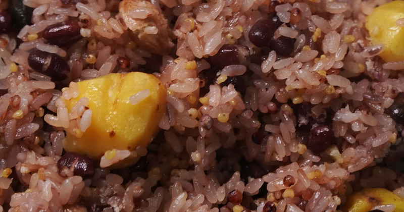 유튜브 '팔숙이 palsook'