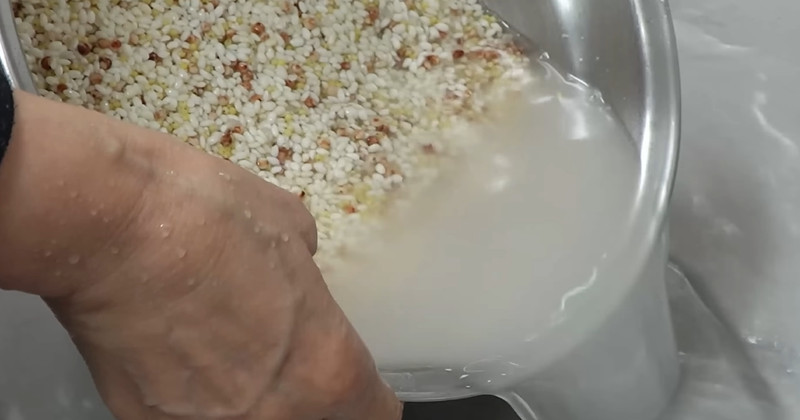 유튜브 '팔숙이 palsook'