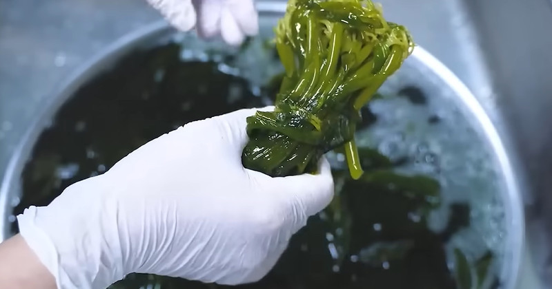 유튜브 '함께해요 맛나요리'