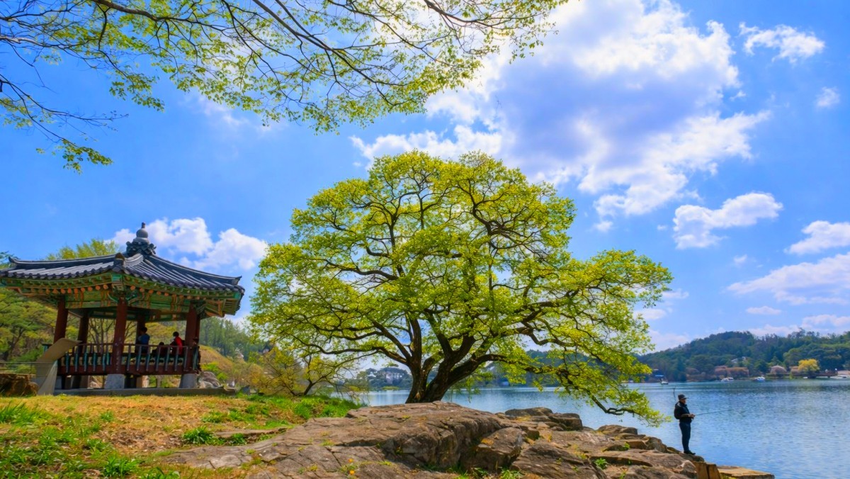 제천 의림지. 기사 내용 토대로 AI툴 활용해 제작한 자료사진.
