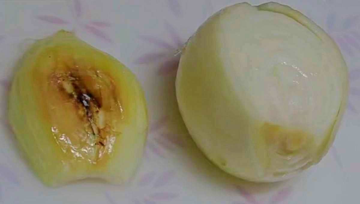 무른 상태의 양파. 먹지 않는 것이 좋다. / 유튜브 'MBClife'