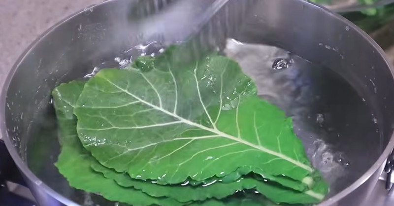 유튜브 '땅끝마을 임선생'