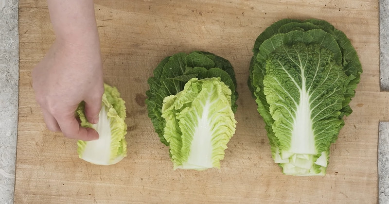 유튜브 '제철건강'