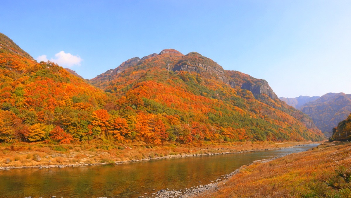 청량산. 기사 내용 토대로 AI툴 활용해 제작한 자료사진.