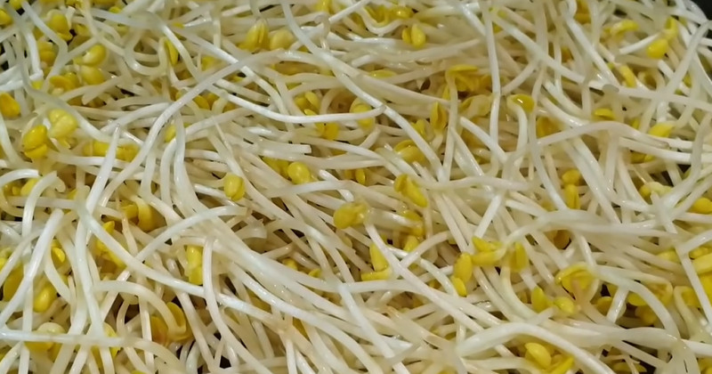 유튜브 '소소황 Cook & Eat'