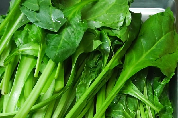 유튜브 '헬로우미자씨'