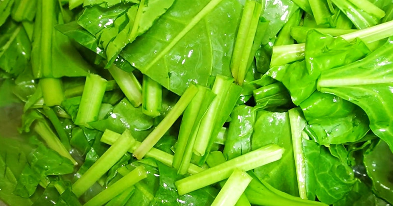 유튜브 '헬로우미자씨'