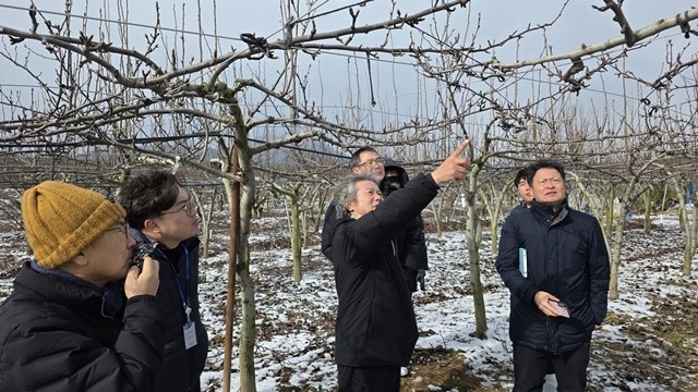 나주시는 지난 1월 나주시배연구센터, 나주배원협과 합동으로 과원을 돌며 배나무 꽃눈 피해 조사를 했다