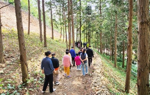 모이라농장 (편백숲길 걷기 치유프로그램)