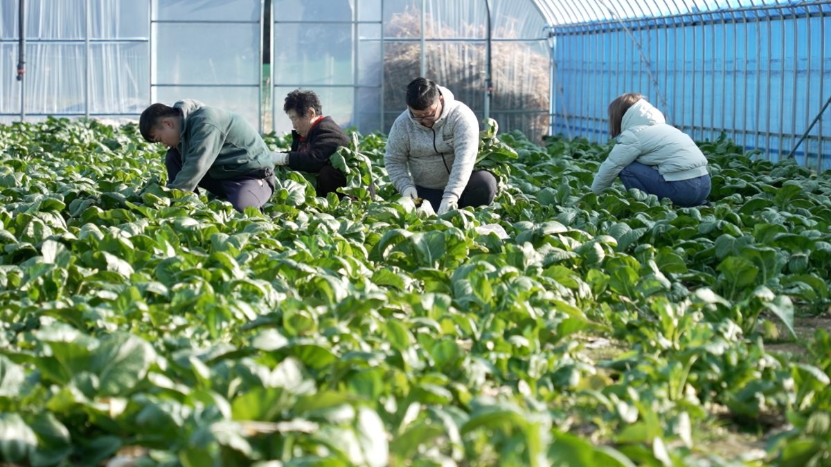 EBS1 '한국기행' 미리보기 페이지에서 제공하는 '서울에서 여수로, 금요일의 퇴근길' 편 자료 사진. / EBS1 제공