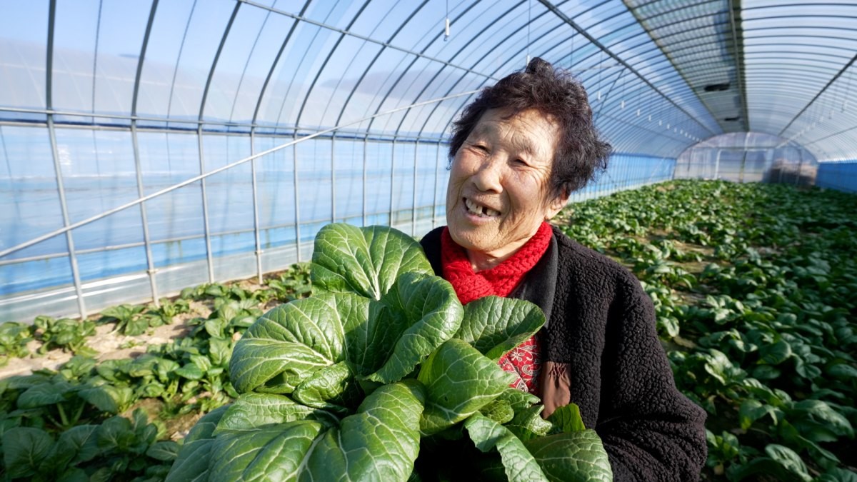EBS1 '한국기행' 미리보기 페이지에서 제공하는 '서울에서 여수로, 금요일의 퇴근길' 편 자료 사진. / EBS1 제공