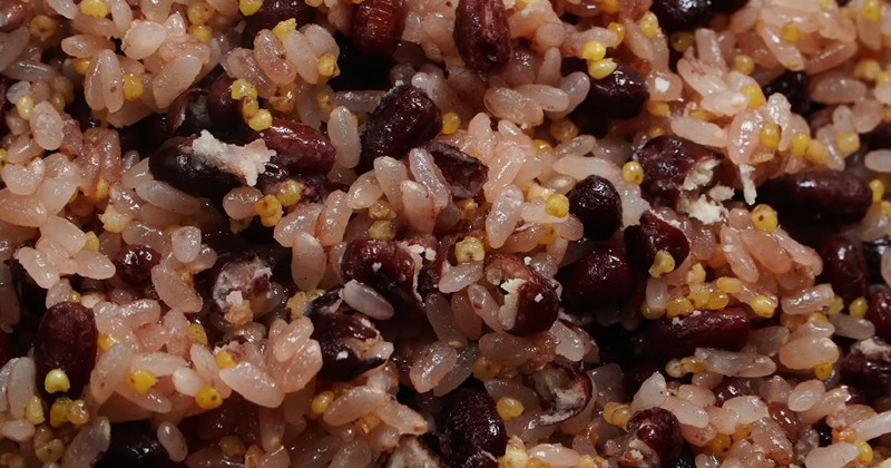 유튜브 '팔숙이 palsook'