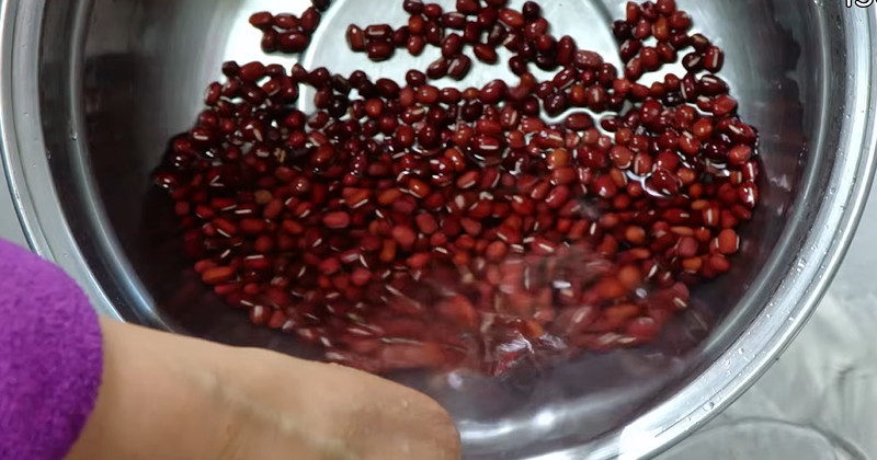 유튜브 '팔숙이 palsook'