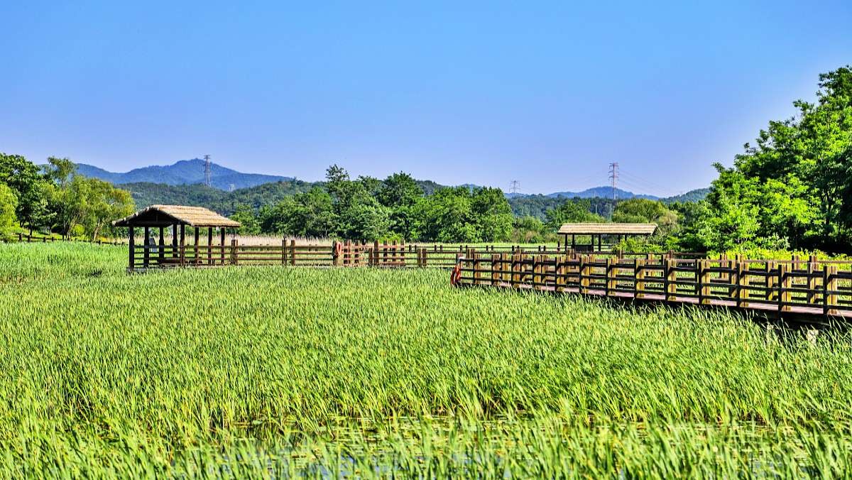 안산갈대습지공원 / 경기도 제공-공공누리