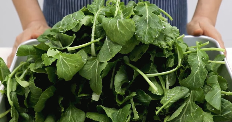 유튜브 '집밥 종갓집 며느리'