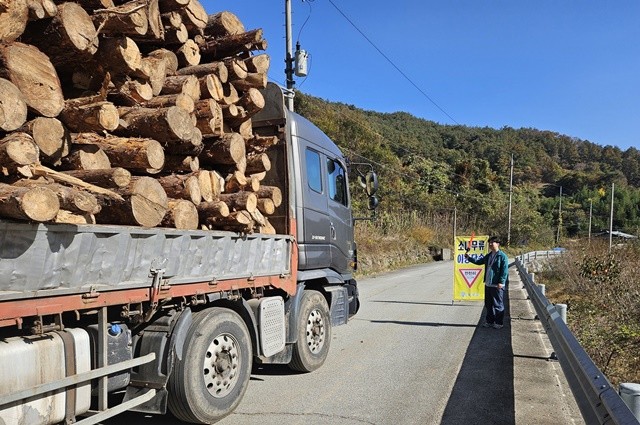 소나무재선충병 인위적 확산 차단-이동 단속